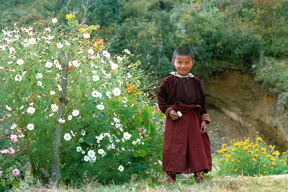 Monk and flowers, Nepal.