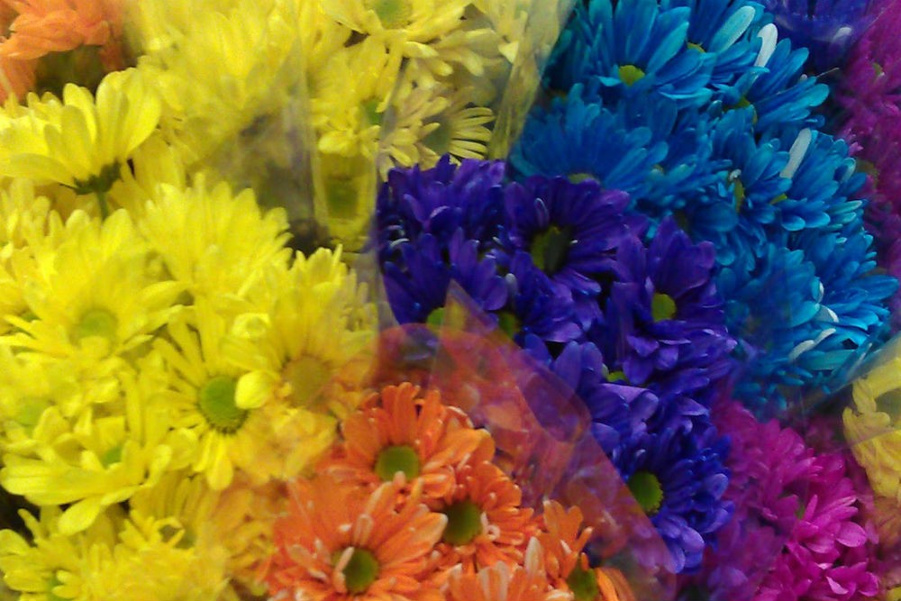 Not all flowers make good gifts—check local customs. Photo: Billie Cohen