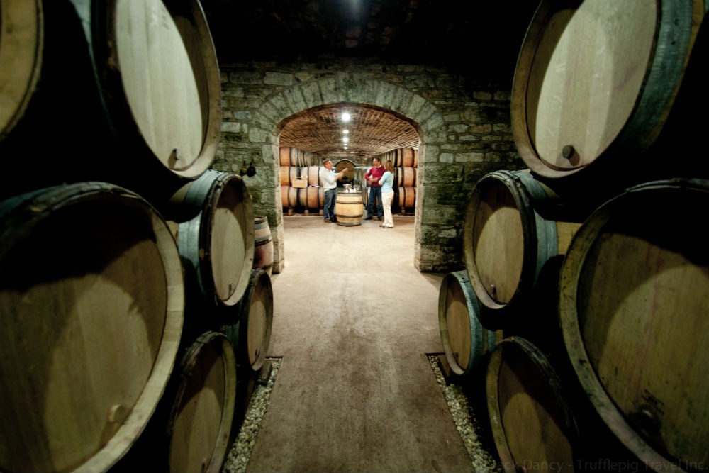 winery tour in Burgundy France