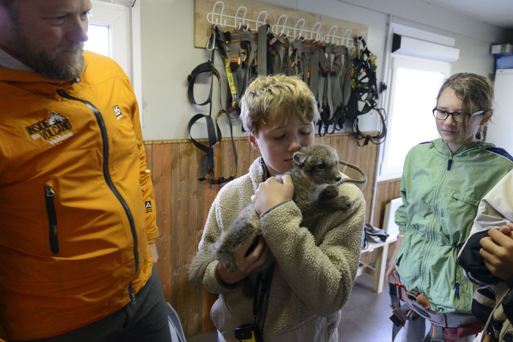 The highlight of the experience for the boys was holding the young Arctic fox. Geez, I hope they remember something when they study volcanoes in science class.