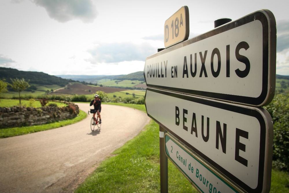 bicyclist in Burgundy france wine country