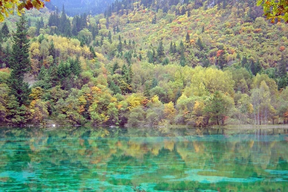 turquoise lake in China's Jiuzhaigou national park