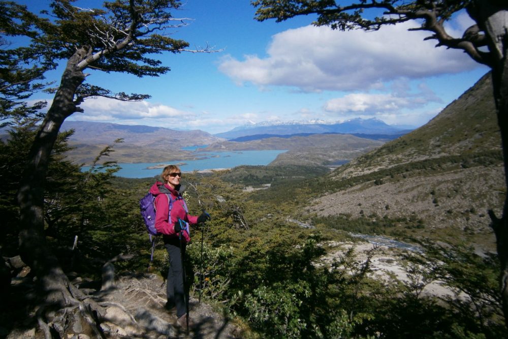 A view of Torres del Paine's lakes from the French Valley