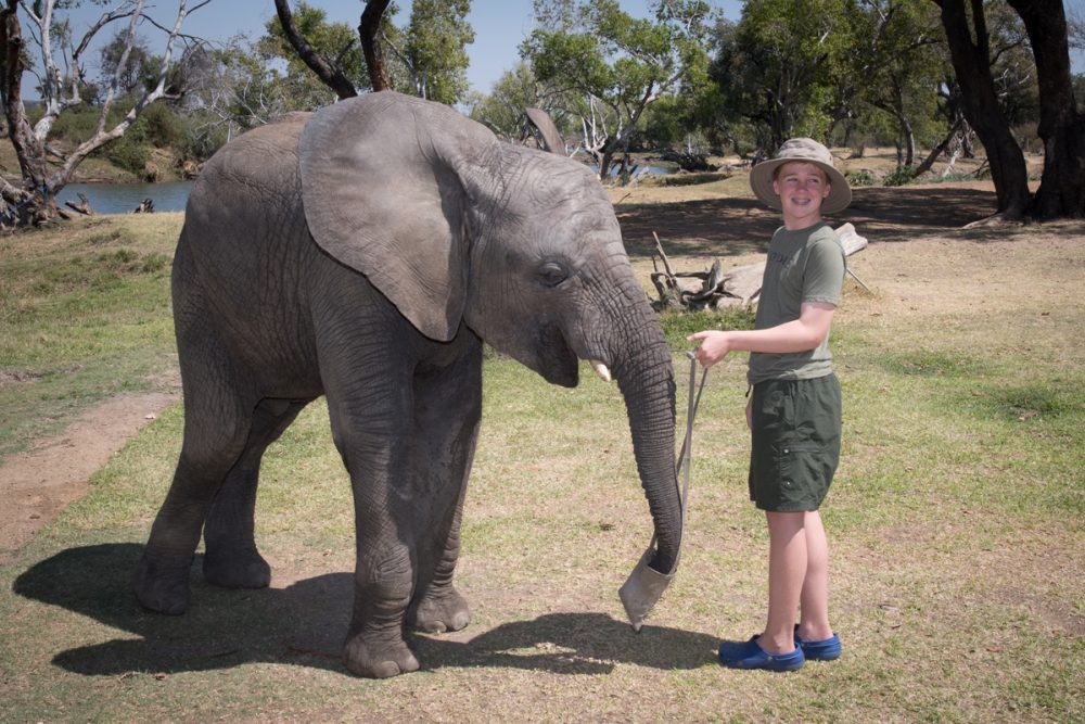 At the Elephant Café, they give you bags of pellets to feed the elephants. Doug took a shortcut.