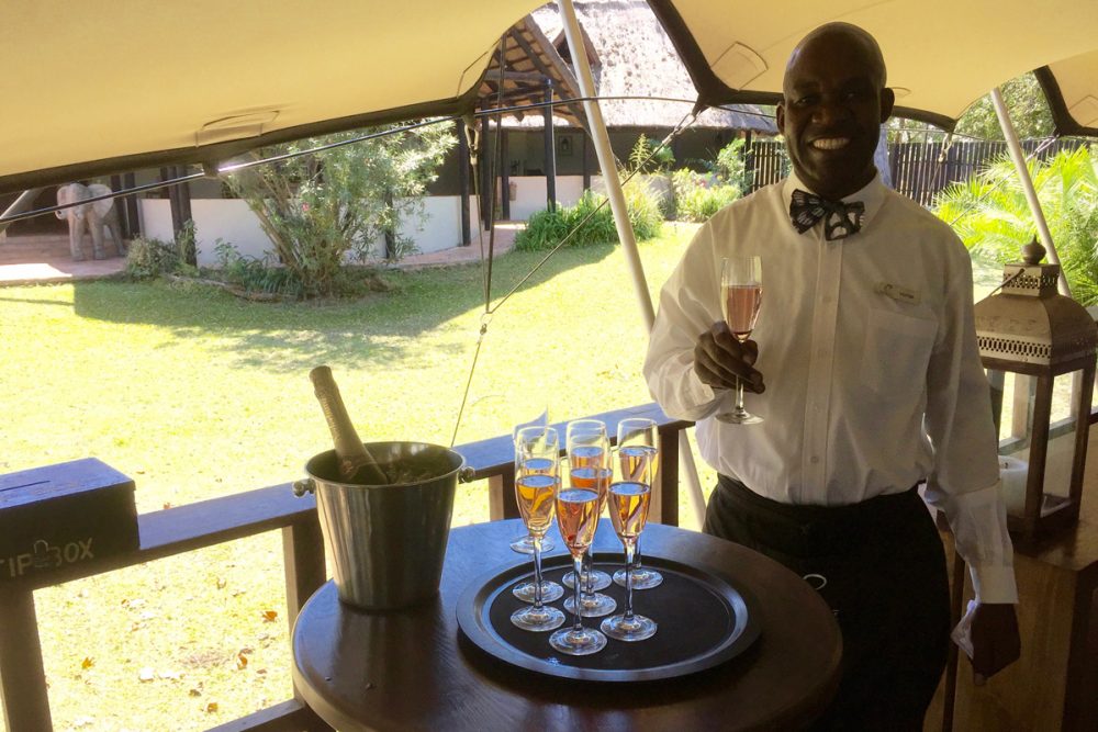 At the Elephant Café you’re welcomed with champagne.