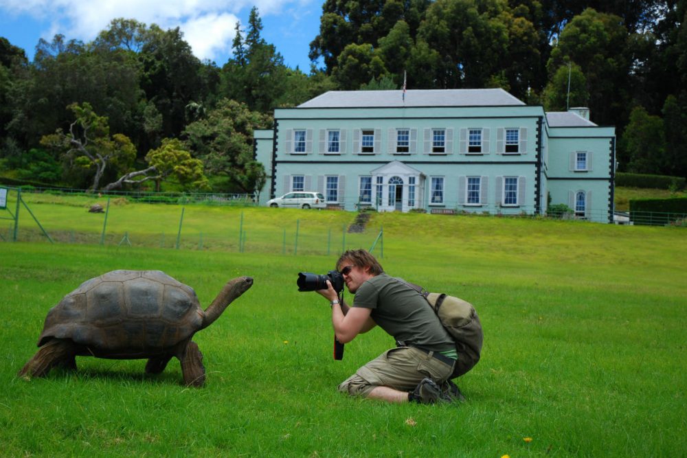 jonathan the giant tortoise at plantation house on St. Helena