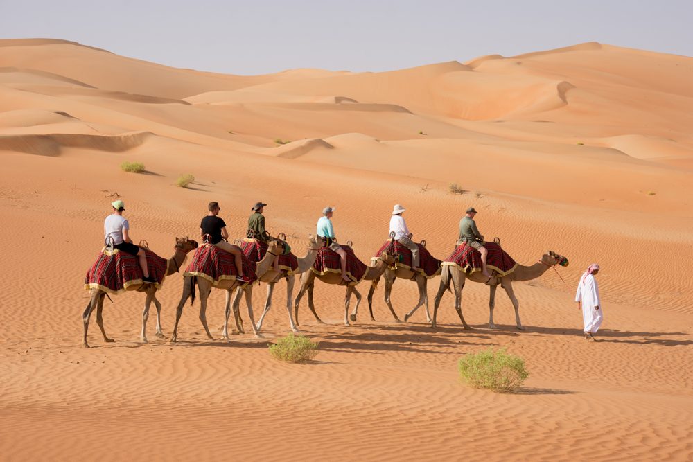 Abu Dhabi Qasr al Sarab camel caravan