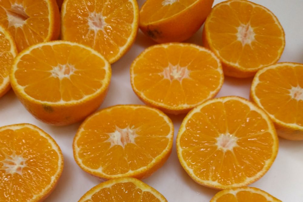 clementine oranges Amandola Gelateria Foligno Italy