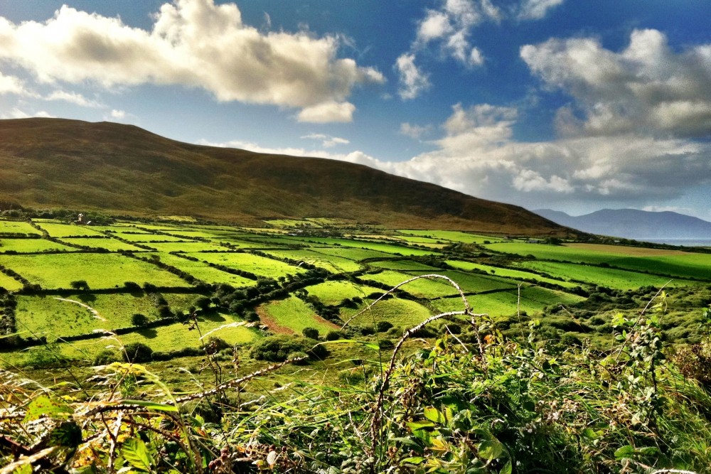 Slea Head Drive, Dingle, Ireland