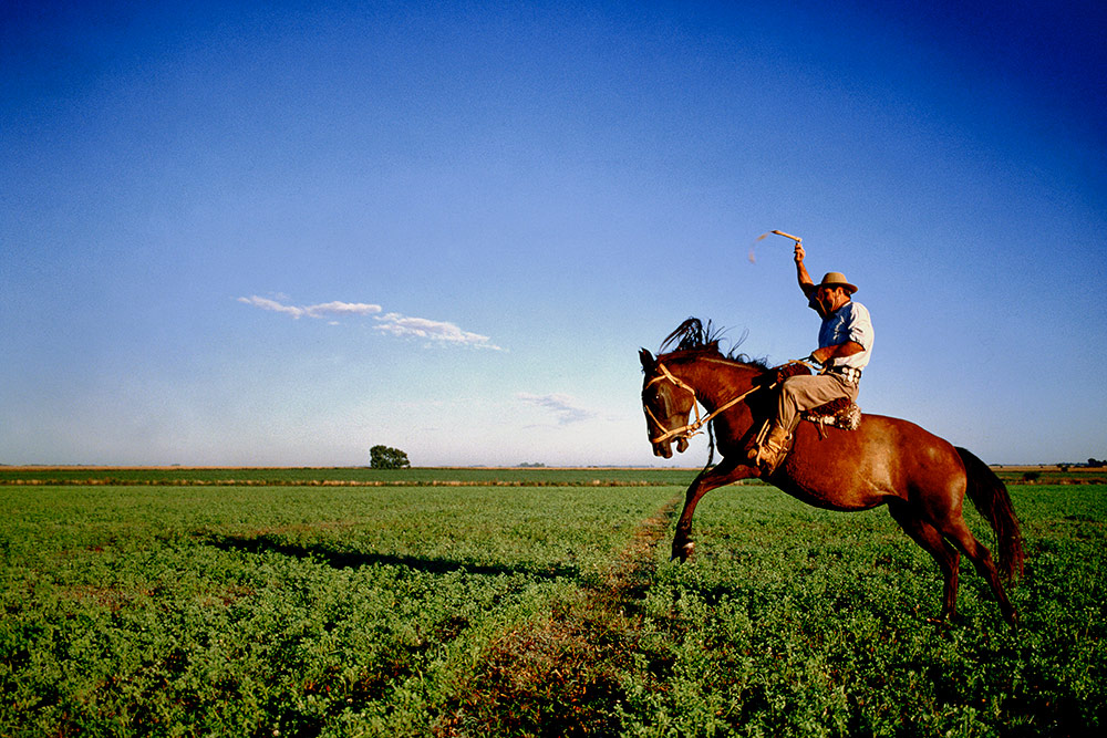 Gaucho on horseback, Argentina