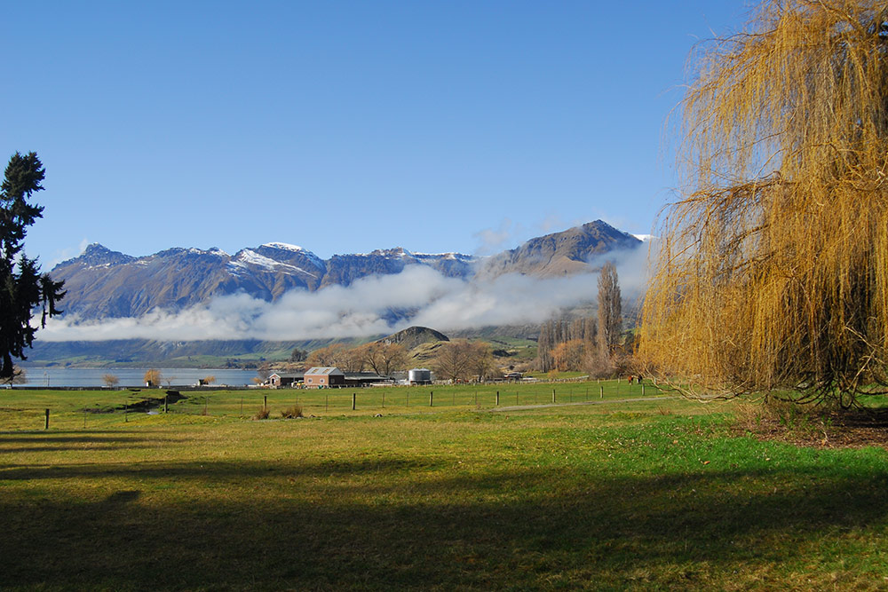 Mount Nicholas Station, Queenstown, New Zealand