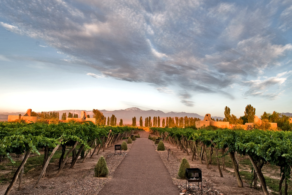 wine tourism argentina