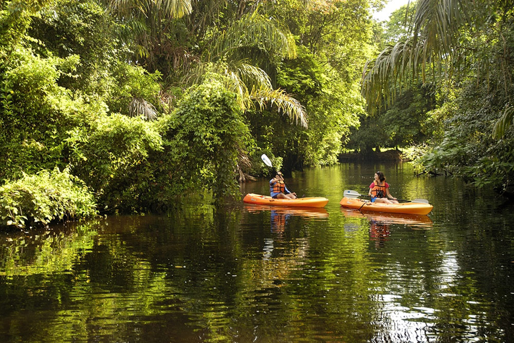 Kayaking in Tortuguero National Park