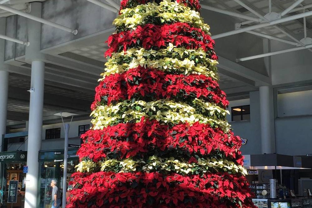 What to Do When You’re Stuck in an Airport Over the Holidays
