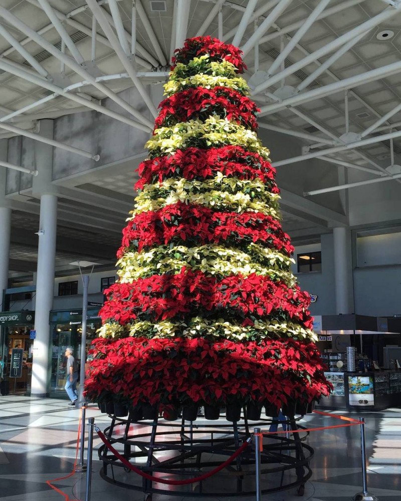 What to Do When You’re Stuck in an Airport Over the Holidays