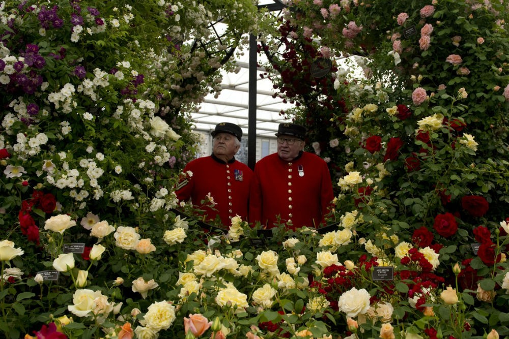 RHS Chelsea Flower Show, London