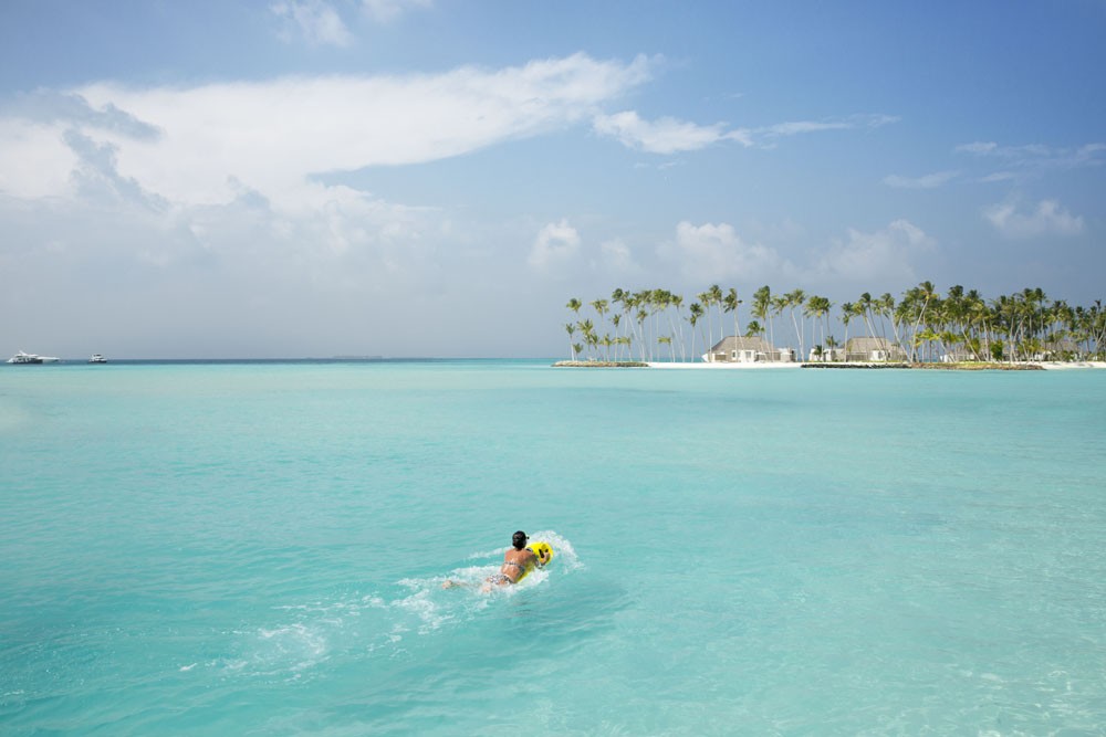 Snorkeling with an Octopus, Cheval Blanc Randheli, Maldives