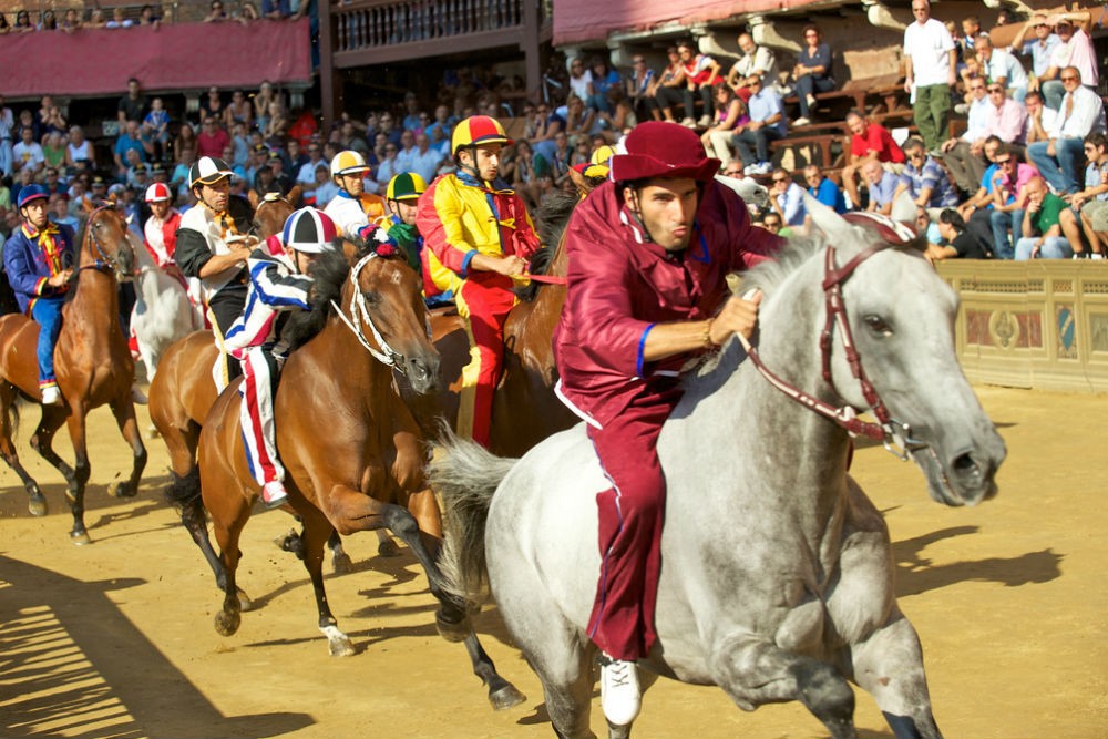 Palio di Siena Janus Kinase