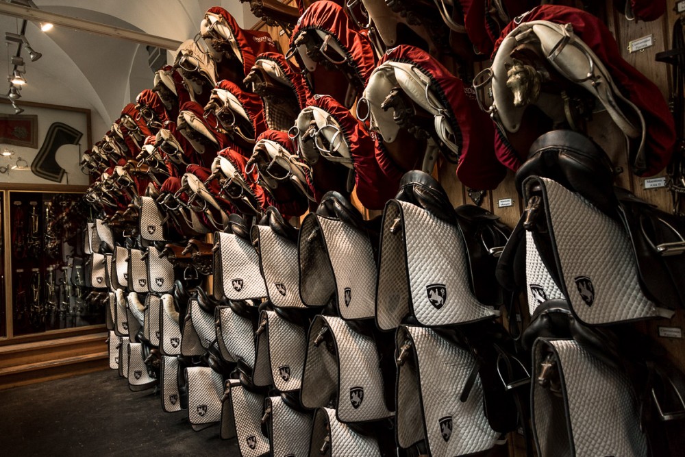 Spanish Riding School, Vienna, Austria. Photo by Susan Portnoy