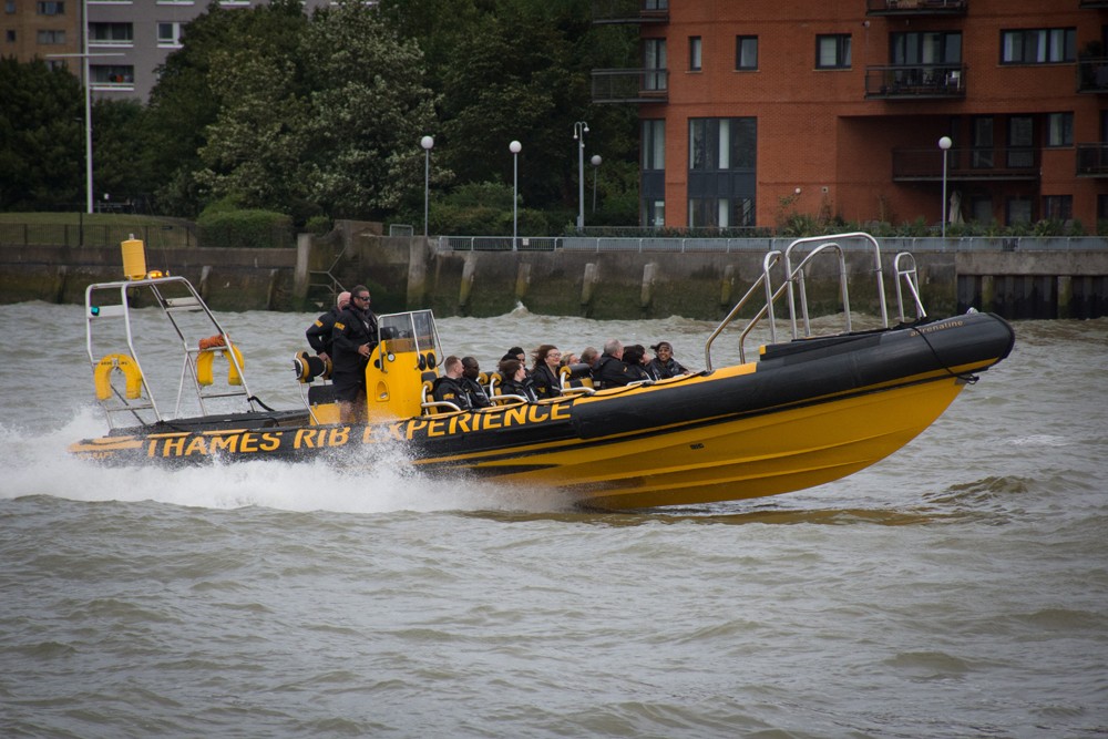 Thames Rib