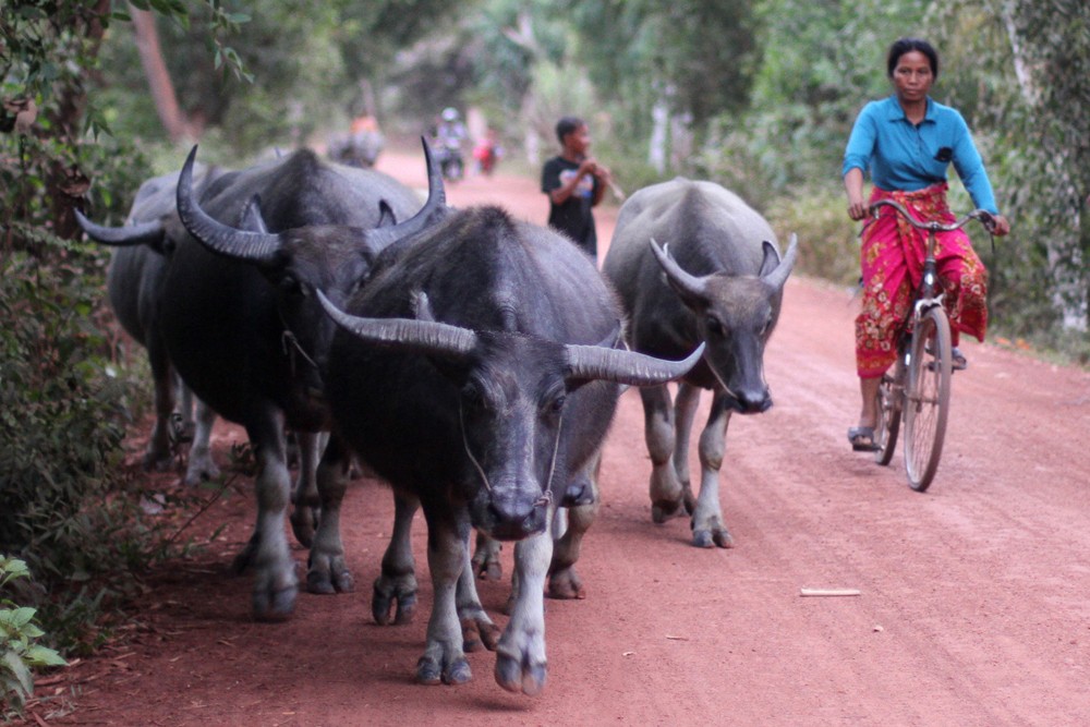 The journey to Villa Chandara, Siem Reap, Cambodia.