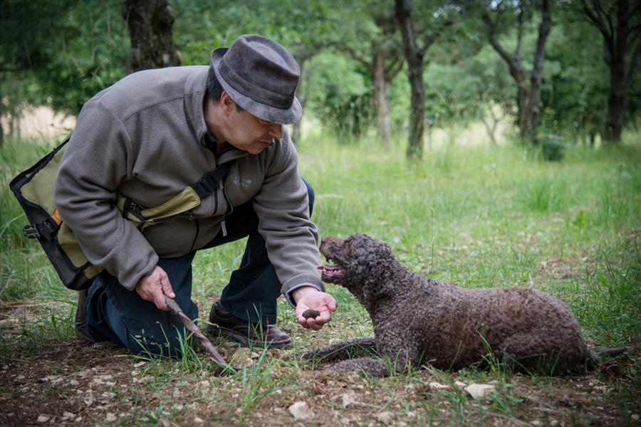 truffle hunter and his dog in France