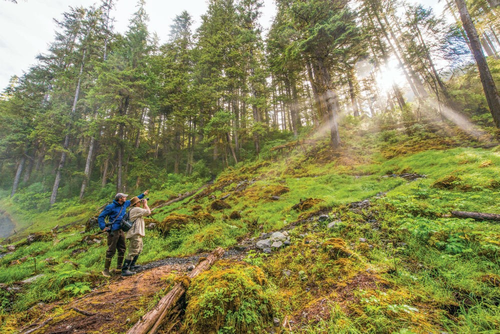 Hikers in Alaska's Tongass National Forest