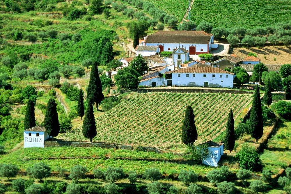 a house and vineyard in Douro Valley, Portugal