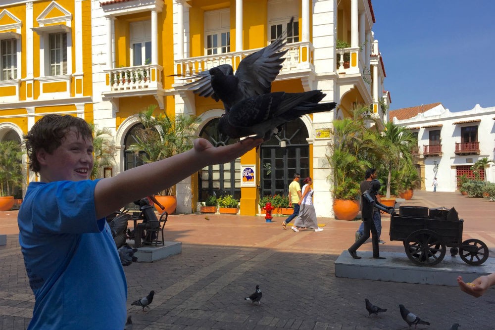 young tourist boy feeds pigeons in Cartagena, Colombia