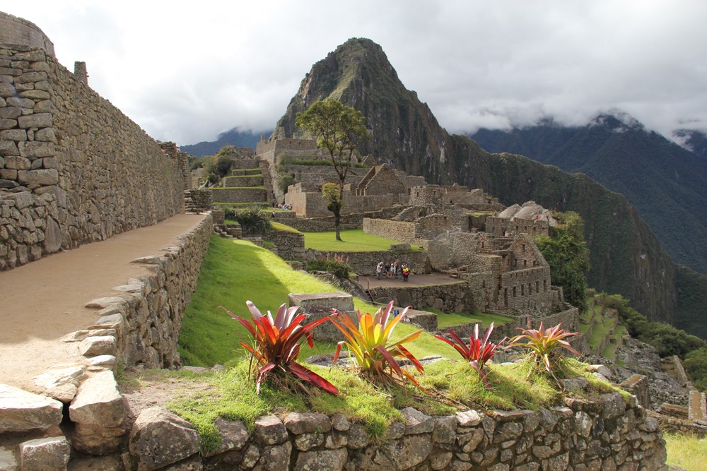 Springtime at Machu Picchu Peru