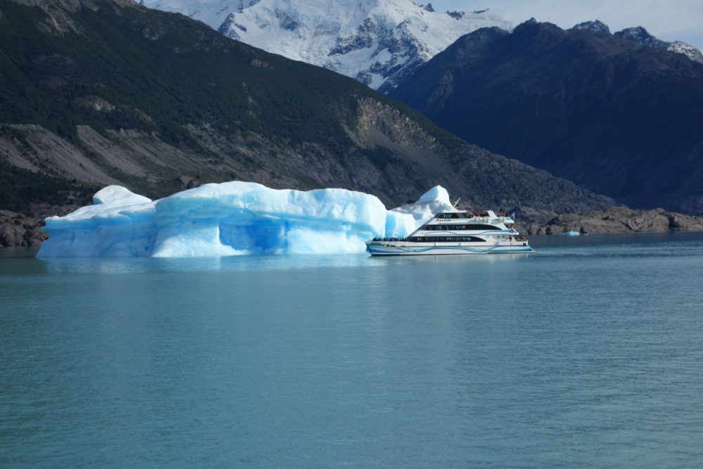 an iceberg in Lago Argentino Patagonia