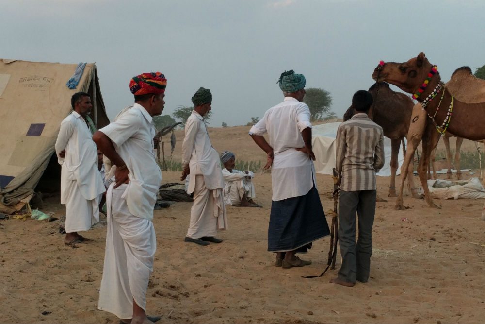 men buying a camel at the Pushkar Camel Fair India