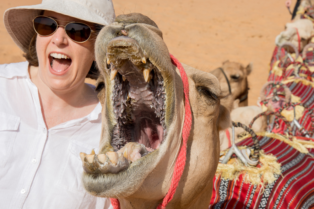 Abu Dhabi Qasr al Sarab Wendy and camel
