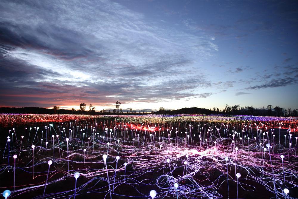 Field of Light installation by Bruce Munro; at Uluru, Australia
