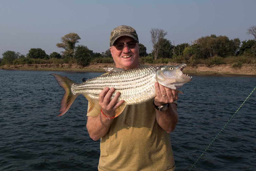 Tim caught this tiger fish in the Zambezi.
