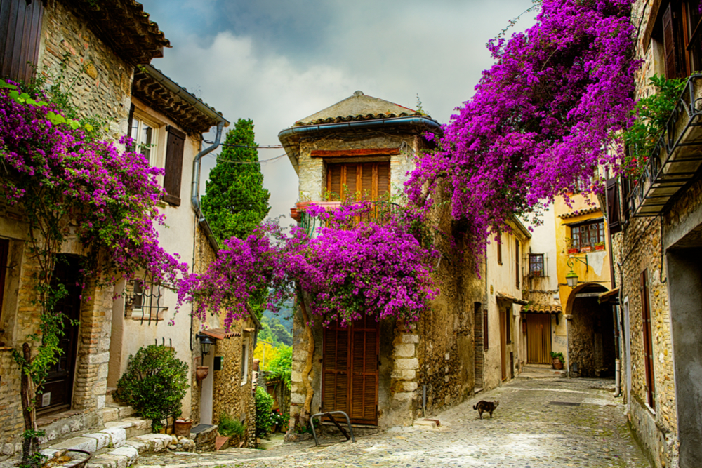 An Expert Can Lead You to Lesser-Known Wine Regions in Provence