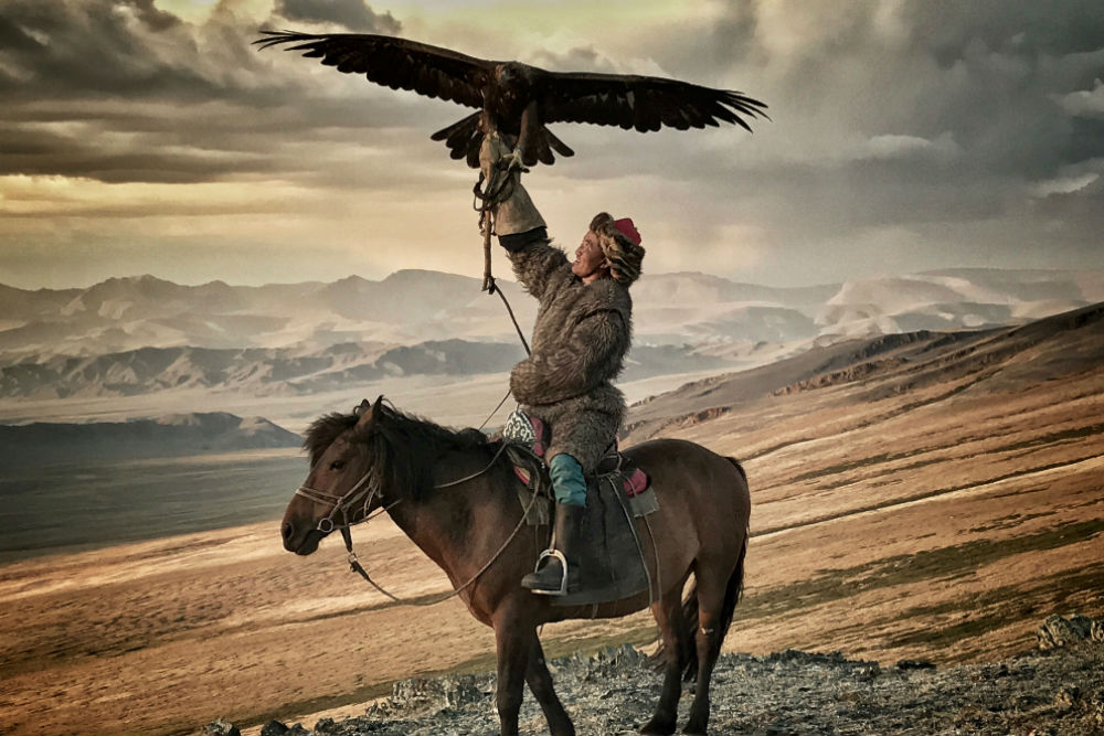 An eagle hunter on horseback in Mongolia holding an eagle