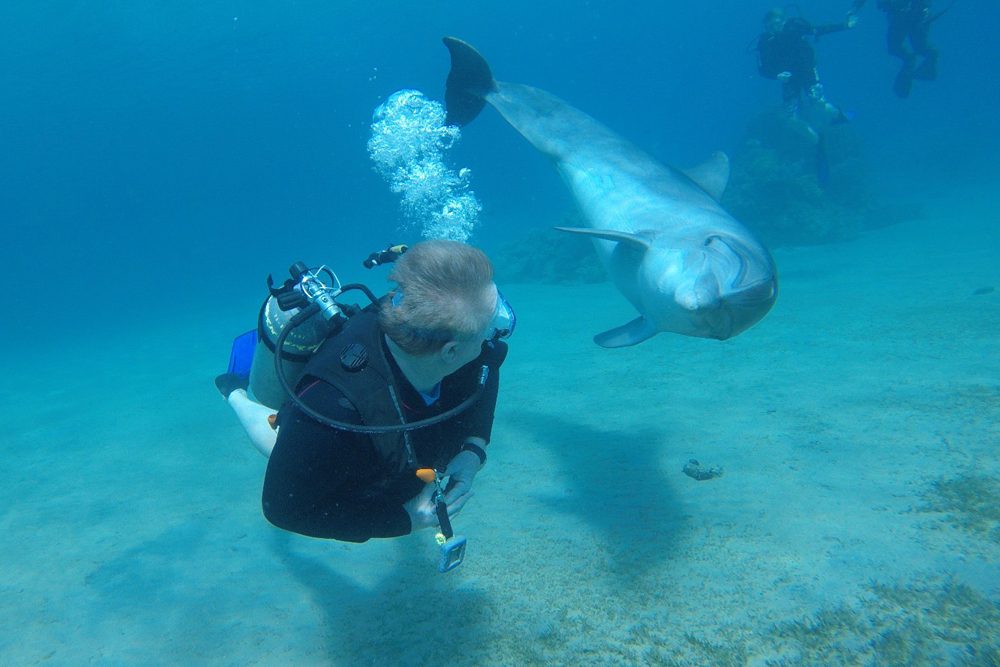 man scuba dives in Israel near a dolphin