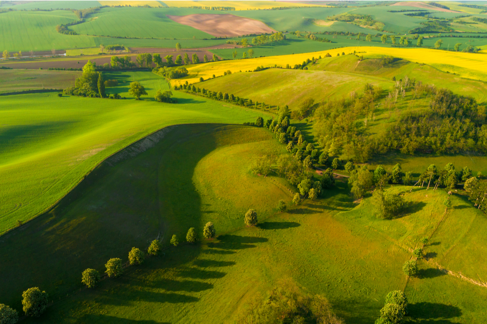 In Moravian Wine Country, a Fairy Tale for Grown-Ups