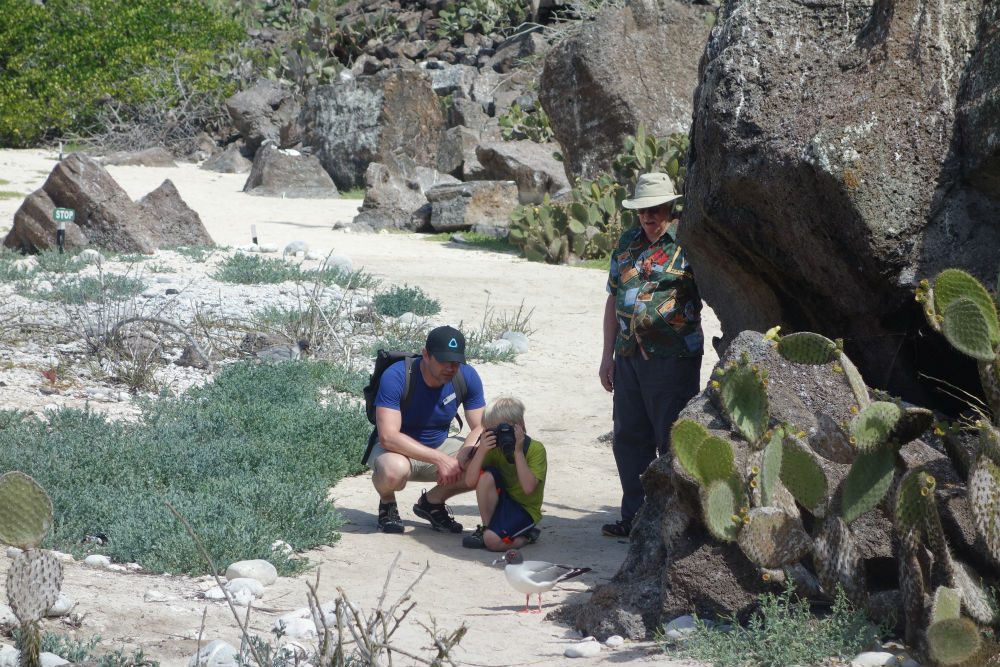 birdwatching on Genovesa Island on a Galapagos island cruise