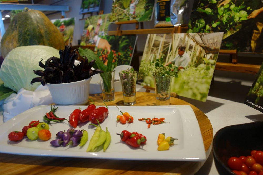 hot peppers, hibiscus flowers, and herbs sourced from Galapagos farms by Lindblad cruises