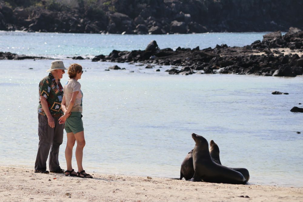 Genovesa Island in the Galapagos Islands - tourists get Up close and personal with sea lions.