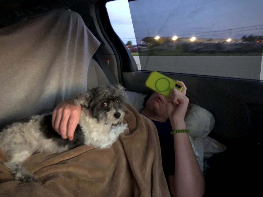 car, dog, Charlie, road trip, family Covid-19