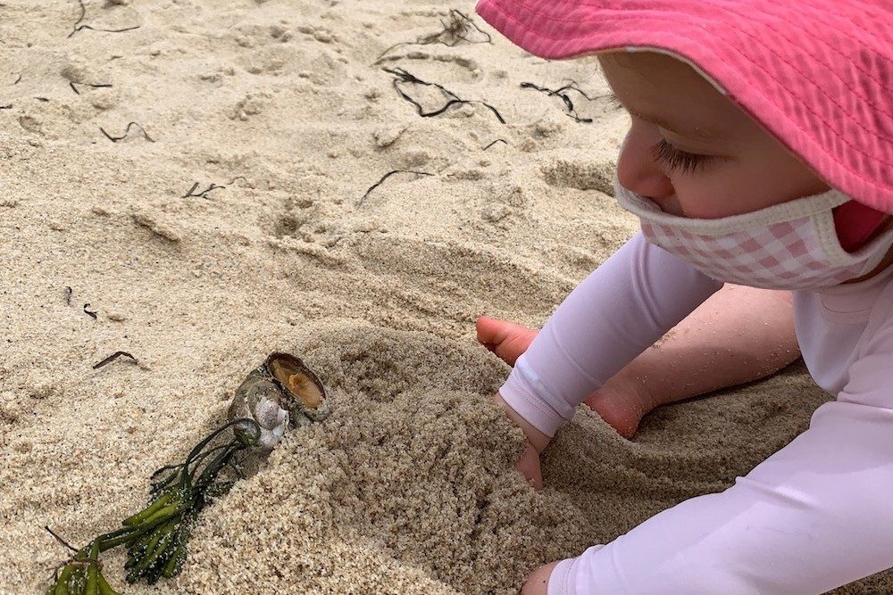 toddler digging in the sand on a beach in Cape Cod