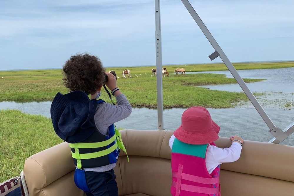 Looking for wild ponies from our pontoon boat in Chincoteague