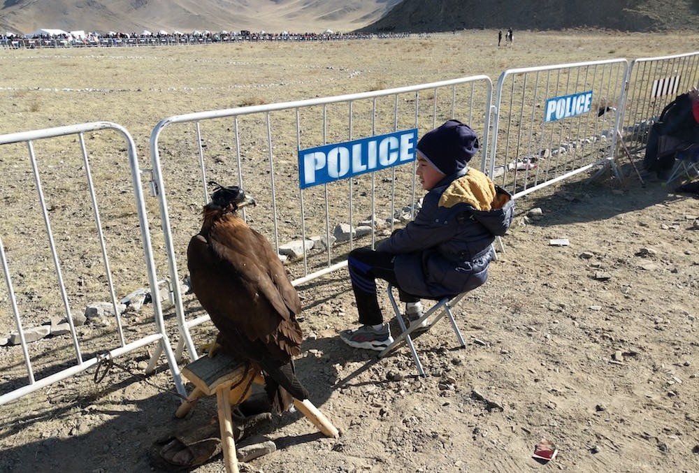 Golden Eagle Festival Mongolia -boy and eagle staring at each other
