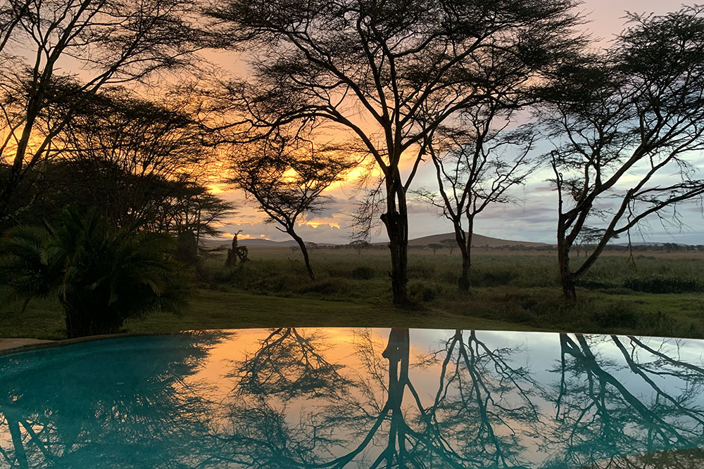 infinity pool overlooking the Lewa Wildlife Conservancy, Kenya