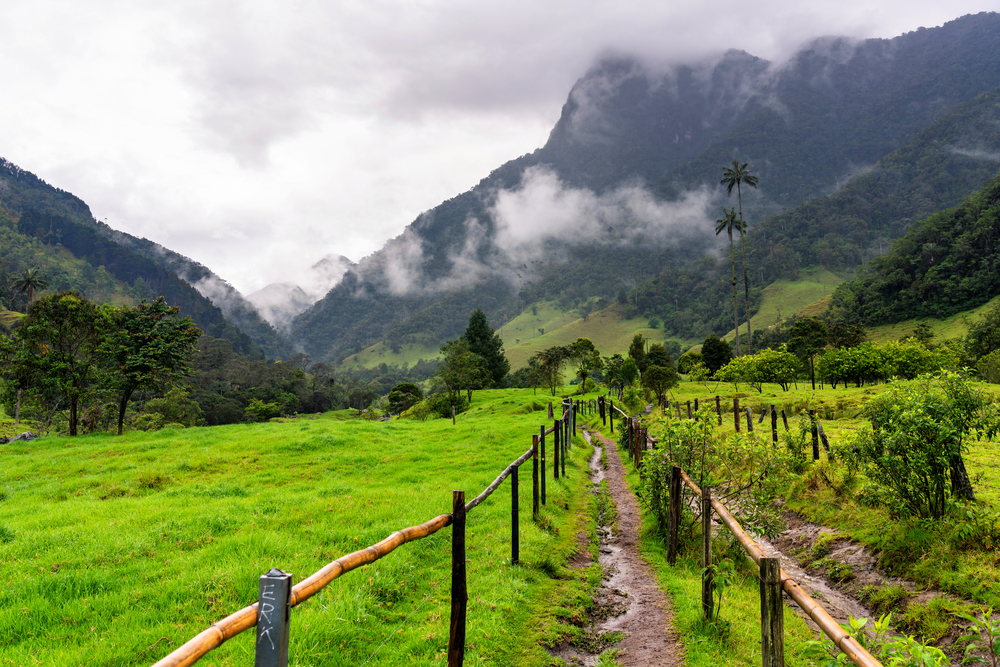 A view from the beginning of the hike towards Cocora Valley which is famous for its tall wax palm trees in Colombia