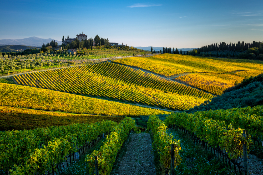 An autumn landscape in the Chianti region of Tuscany hills in the surroundings of Radda in Chianti.