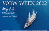 aerial view of yacht in the blue ocean with text over it for WendyPerrin.com WOW Week of travel talks